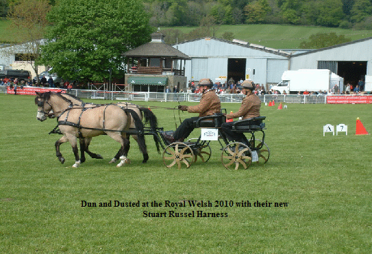 Dun & Dusted Royal Welsh 2010